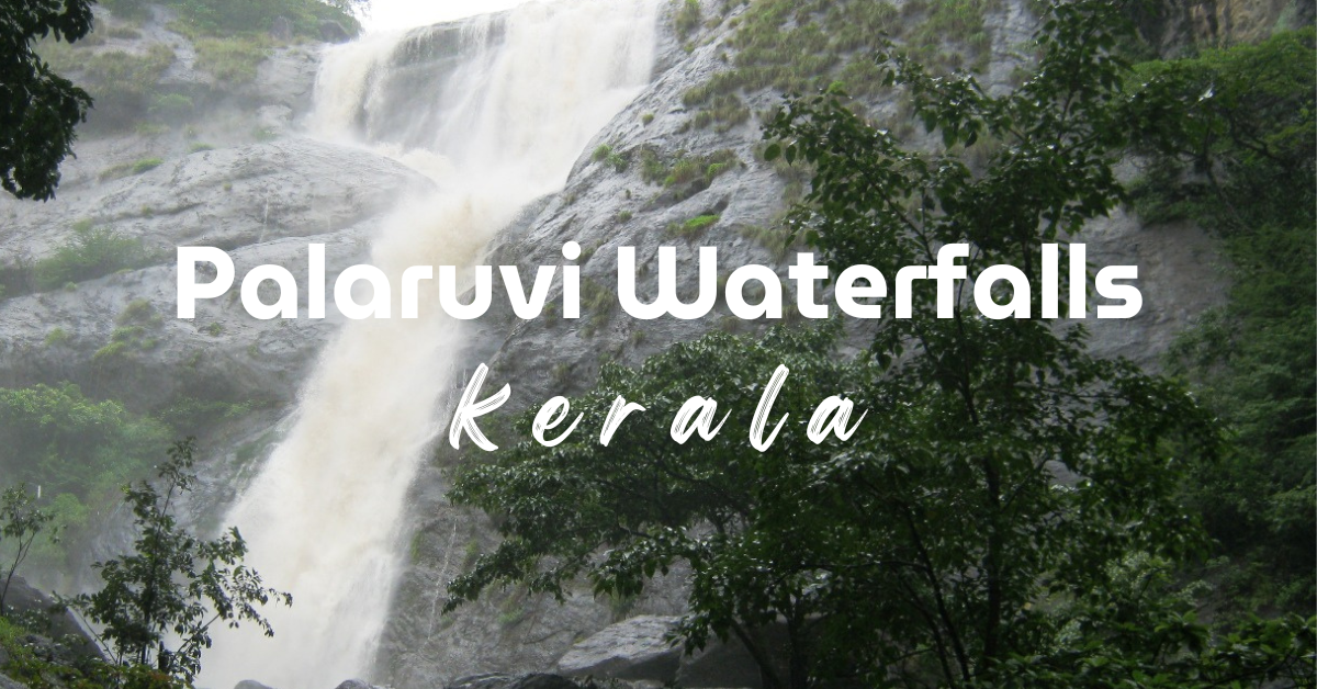 Palaruvi Waterfalls: Kerala's Majestic 300-Foot Stream of Milk