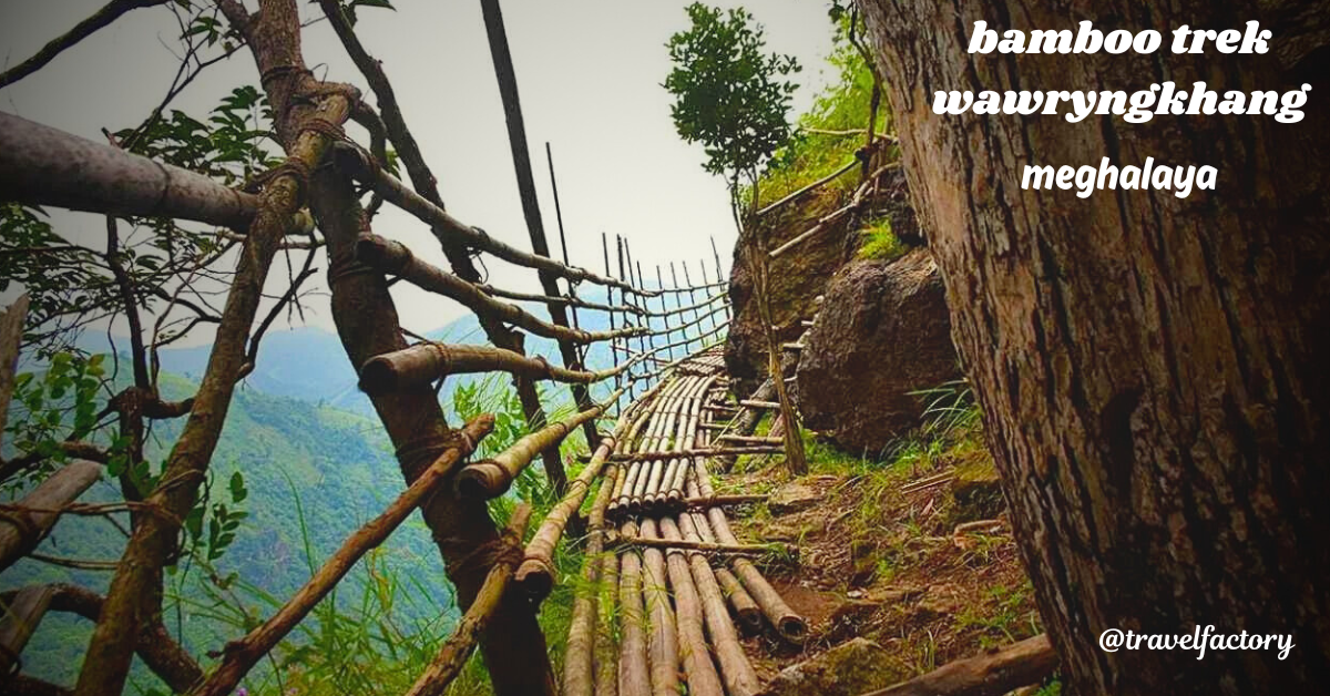 The Bamboo Trek Meghalaya: A Journey into Nature's Heart in mawryngkhang