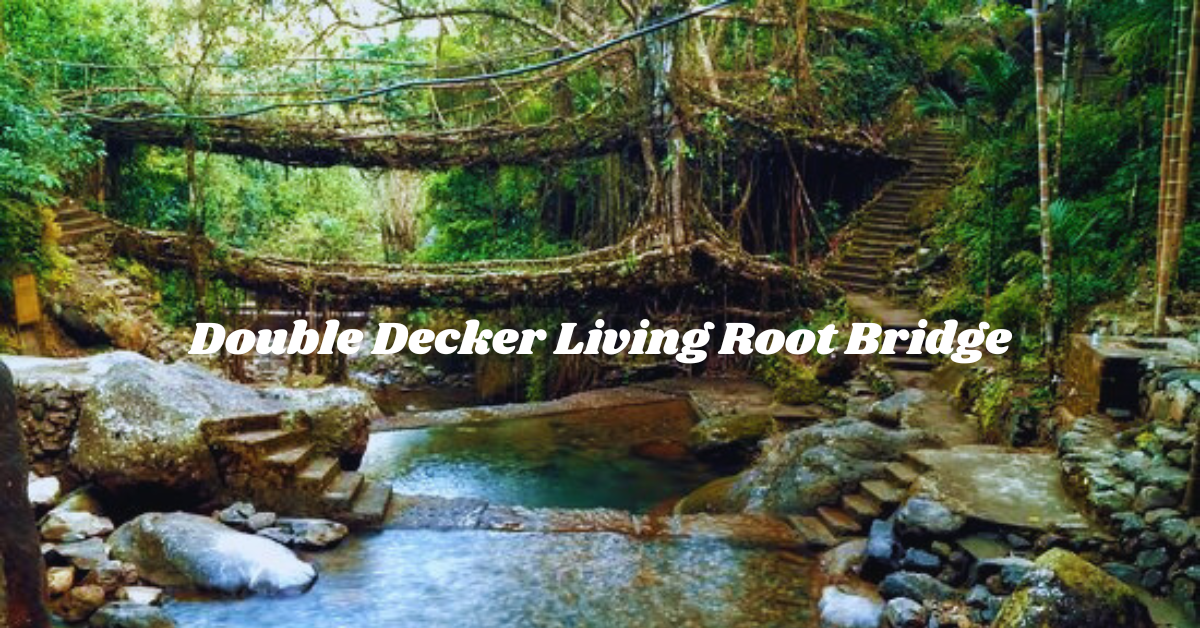 Double Decker Living Root Bridge: 2 Levels of Wonder