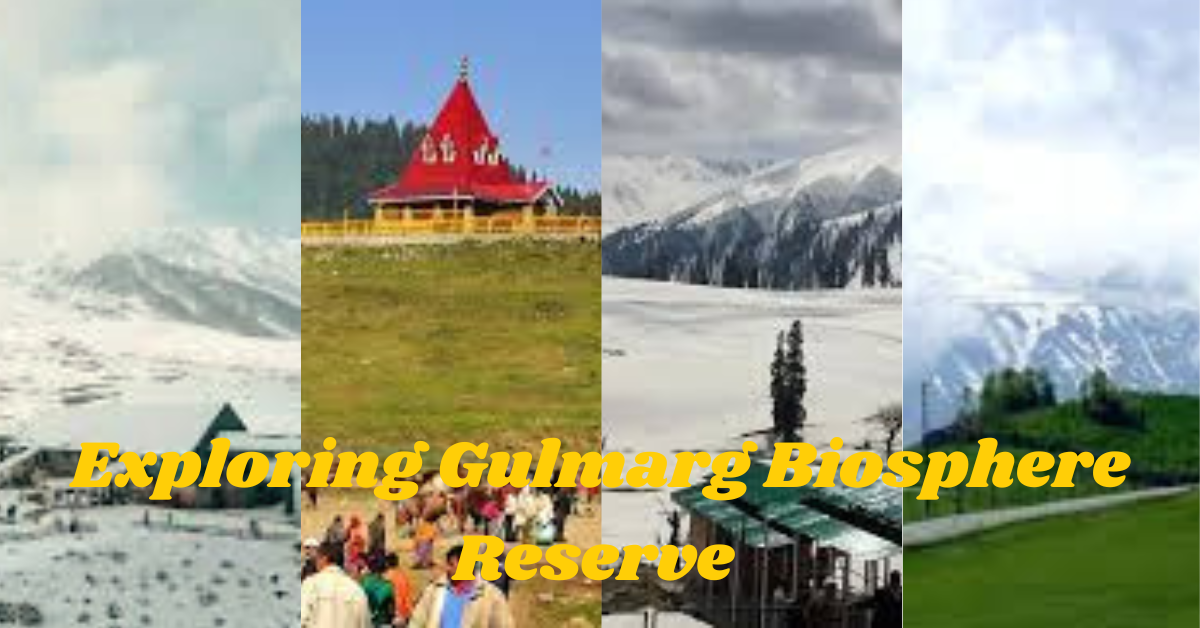 Activities in Gulmarg